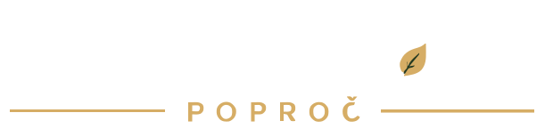 cropped-logo-web-biele-620.png
